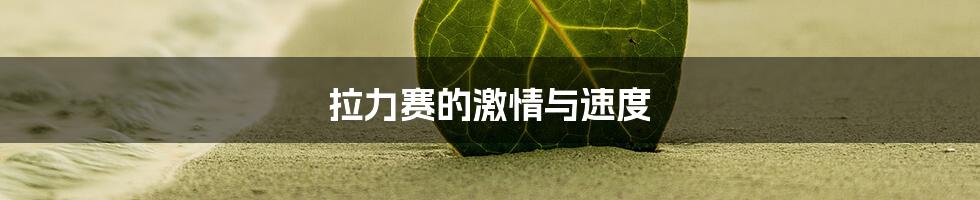 拉力赛的激情与速度