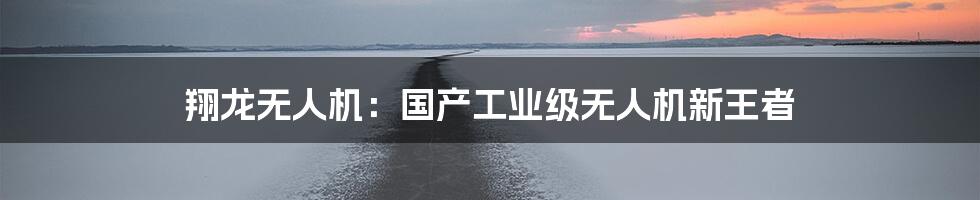 翔龙无人机：国产工业级无人机新王者