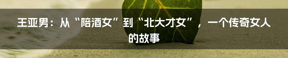 王亚男：从“陪酒女”到“北大才女”，一个传奇女人的故事