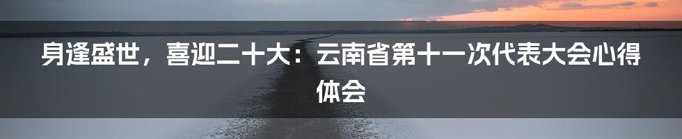 身逢盛世，喜迎二十大：云南省第十一次代表大会心得体会