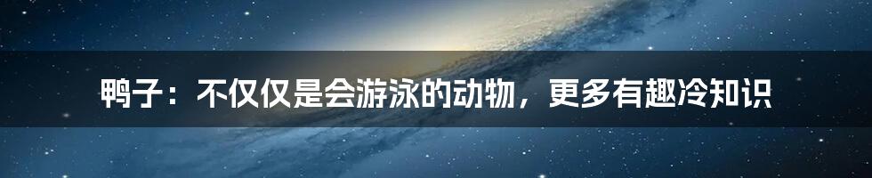 鸭子：不仅仅是会游泳的动物，更多有趣冷知识