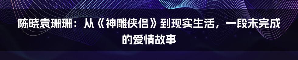 陈晓袁珊珊：从《神雕侠侣》到现实生活，一段未完成的爱情故事