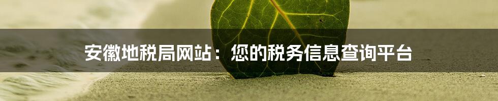 安徽地税局网站：您的税务信息查询平台