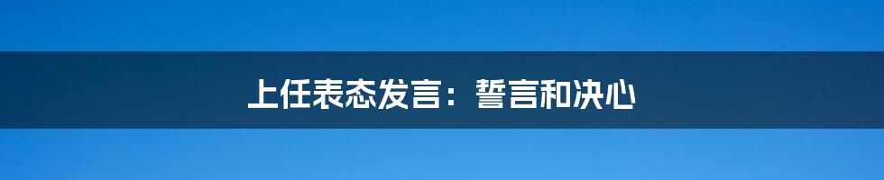 上任表态发言：誓言和决心