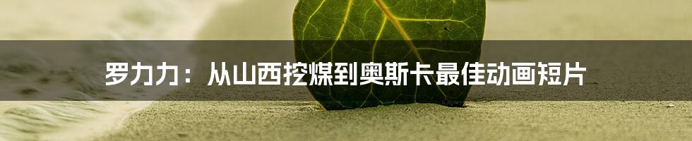 罗力力：从山西挖煤到奥斯卡最佳动画短片