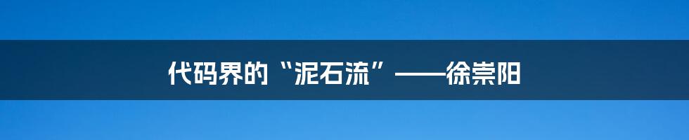 代码界的“泥石流”——徐崇阳