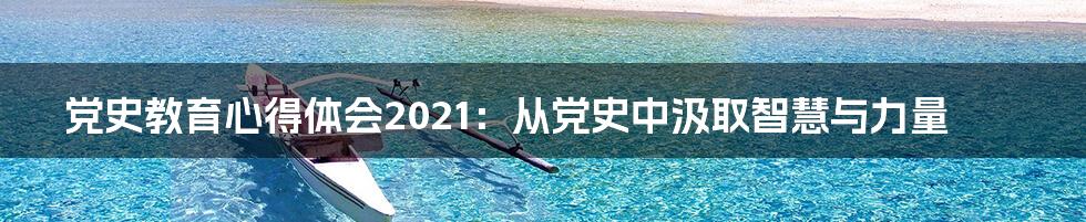 党史教育心得体会2021：从党史中汲取智慧与力量