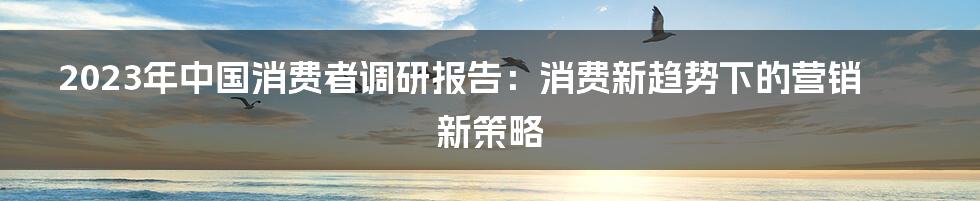 2023年中国消费者调研报告：消费新趋势下的营销新策略