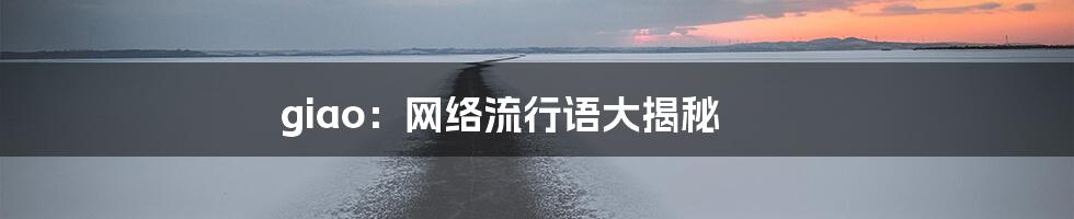 giao：网络流行语大揭秘