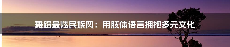 舞蹈最炫民族风：用肢体语言拥抱多元文化