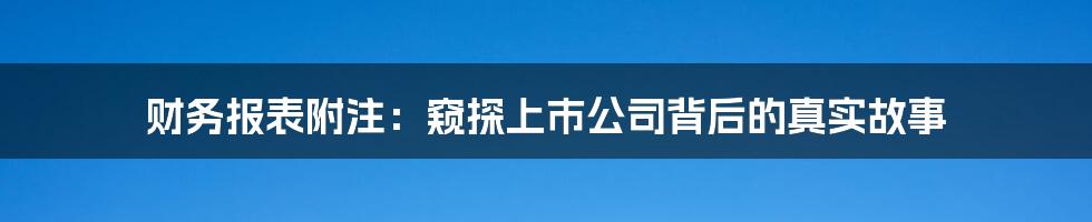 财务报表附注：窥探上市公司背后的真实故事