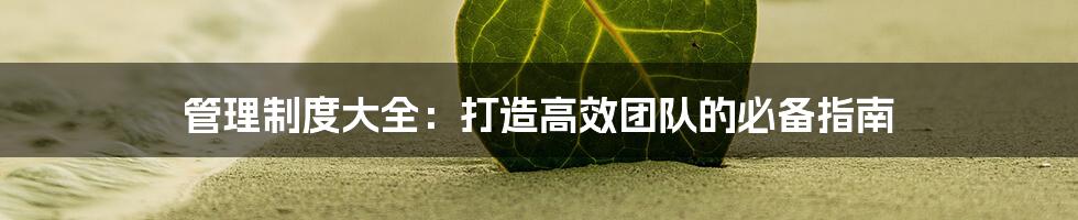 管理制度大全：打造高效团队的必备指南