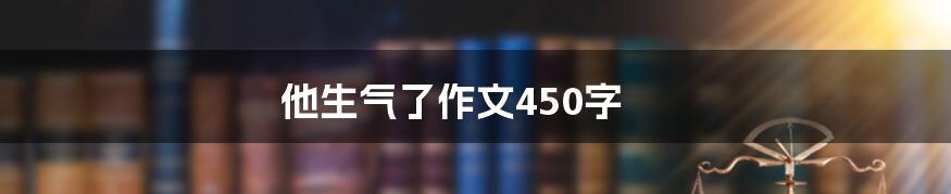 他生气了作文450字