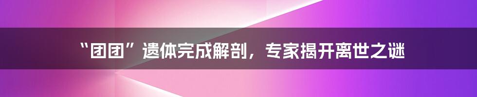 “团团”遗体完成解剖，专家揭开离世之谜