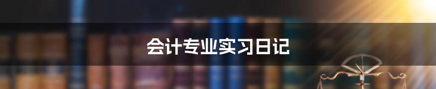 会计专业实习日记