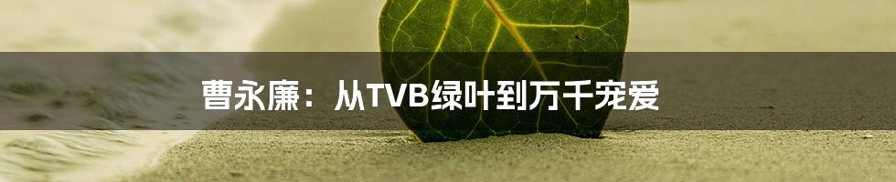 曹永廉：从TVB绿叶到万千宠爱