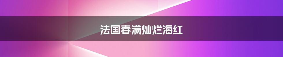 法国春满灿烂海红