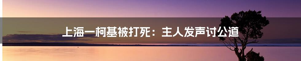 上海一柯基被打死：主人发声讨公道