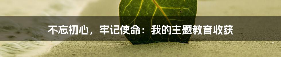 不忘初心，牢记使命：我的主题教育收获