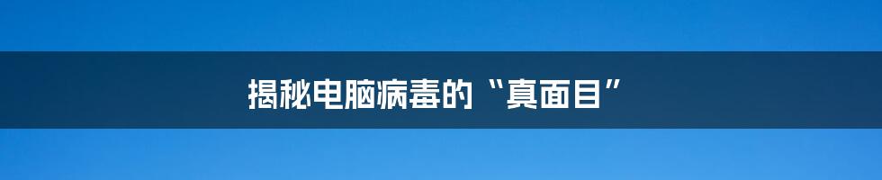 揭秘电脑病毒的“真面目”