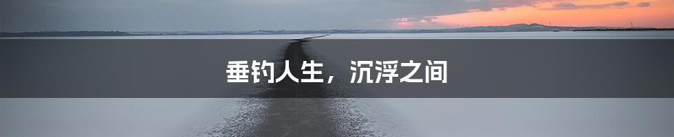 垂钓人生，沉浮之间