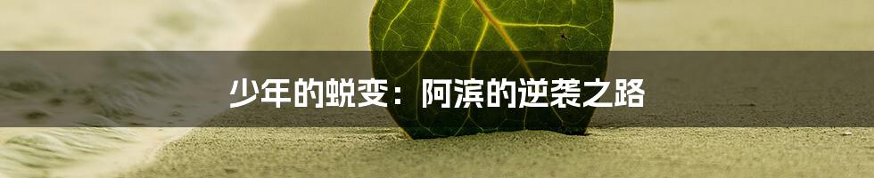 少年的蜕变：阿滨的逆袭之路