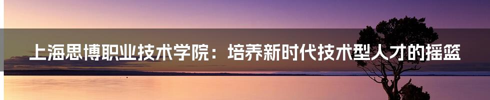 上海思博职业技术学院：培养新时代技术型人才的摇篮