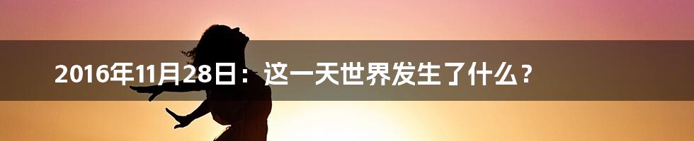 2016年11月28日：这一天世界发生了什么？