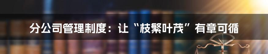 分公司管理制度：让“枝繁叶茂”有章可循