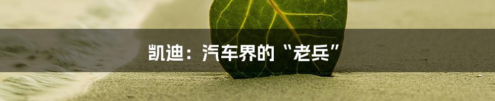 凯迪：汽车界的“老兵”