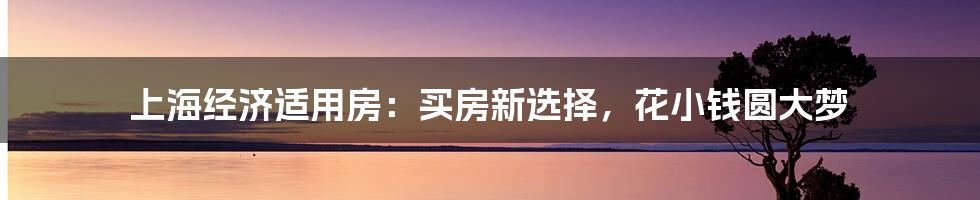 上海经济适用房：买房新选择，花小钱圆大梦