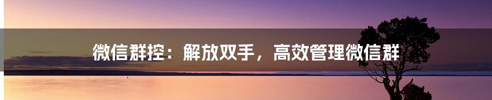 微信群控：解放双手，高效管理微信群