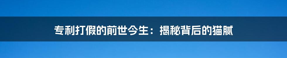 专利打假的前世今生：揭秘背后的猫腻