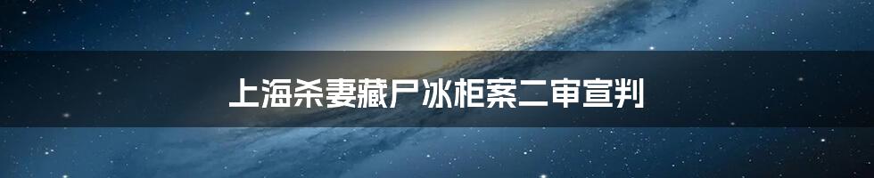 上海杀妻藏尸冰柜案二审宣判