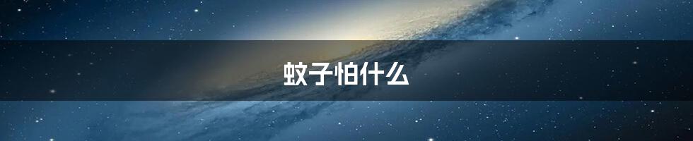 蚊子怕什么