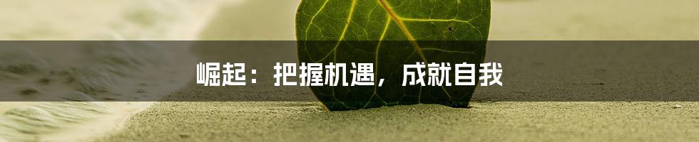 崛起：把握机遇，成就自我