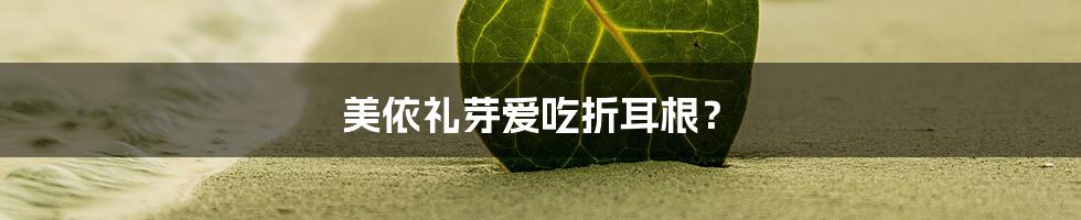 美依礼芽爱吃折耳根？