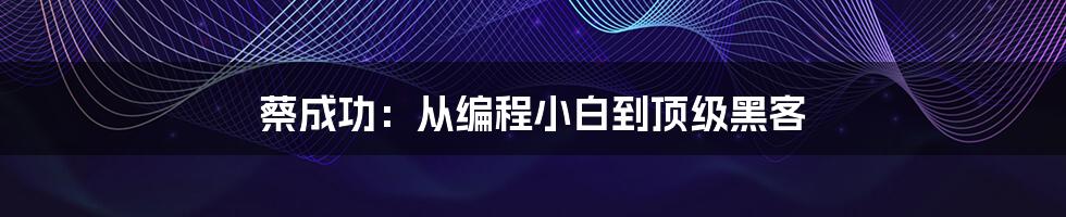 蔡成功：从编程小白到顶级黑客