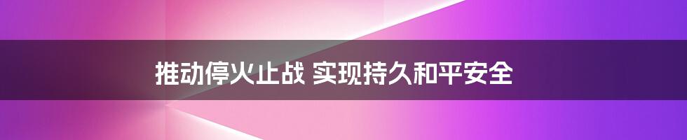 推动停火止战 实现持久和平安全