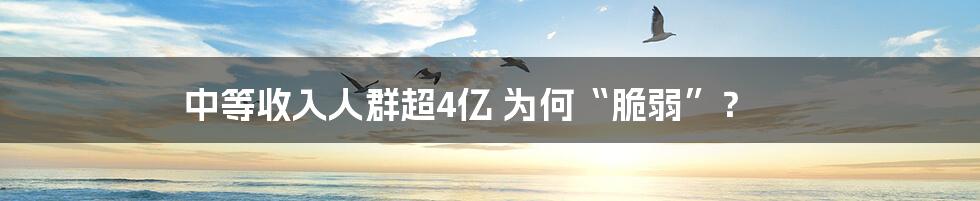 中等收入人群超4亿 为何“脆弱”？