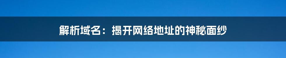 解析域名：揭开网络地址的神秘面纱