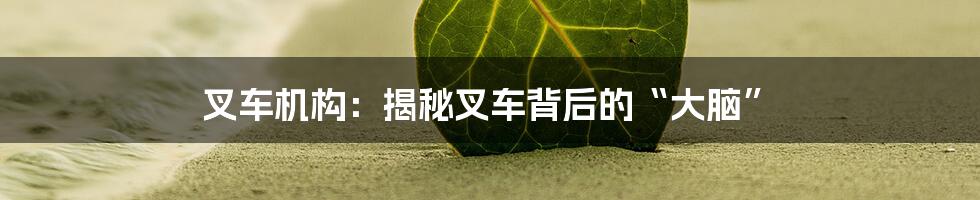 叉车机构：揭秘叉车背后的“大脑”