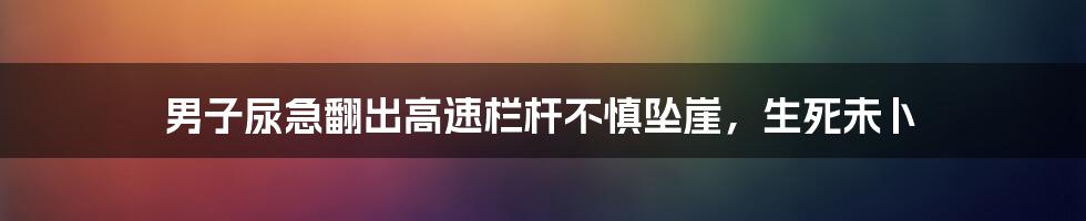 男子尿急翻出高速栏杆不慎坠崖，生死未卜