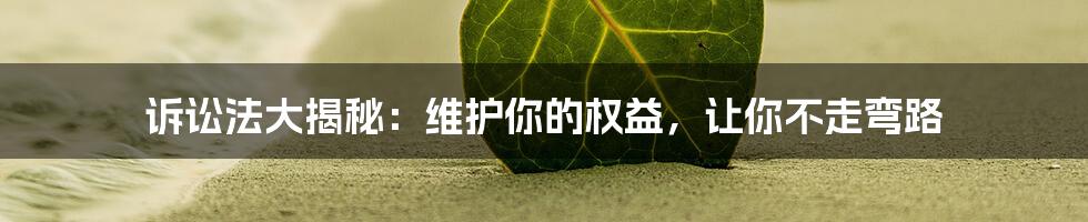 诉讼法大揭秘：维护你的权益，让你不走弯路