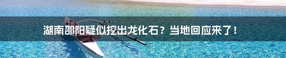 湖南邵阳疑似挖出龙化石？当地回应来了！