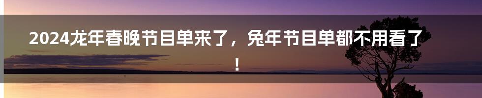 2024龙年春晚节目单来了，兔年节目单都不用看了！