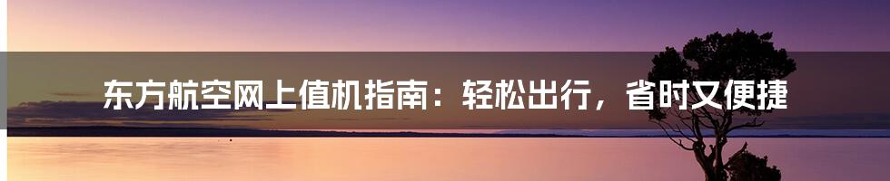 东方航空网上值机指南：轻松出行，省时又便捷