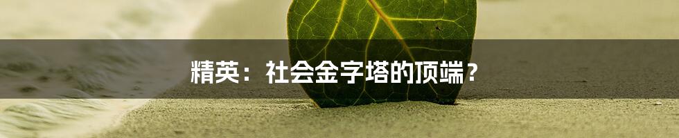 精英：社会金字塔的顶端？