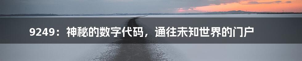 9249：神秘的数字代码，通往未知世界的门户