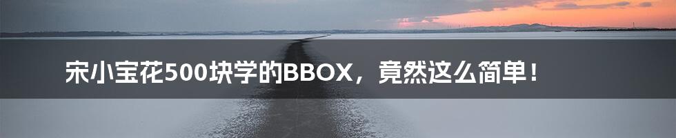 宋小宝花500块学的BBOX，竟然这么简单！